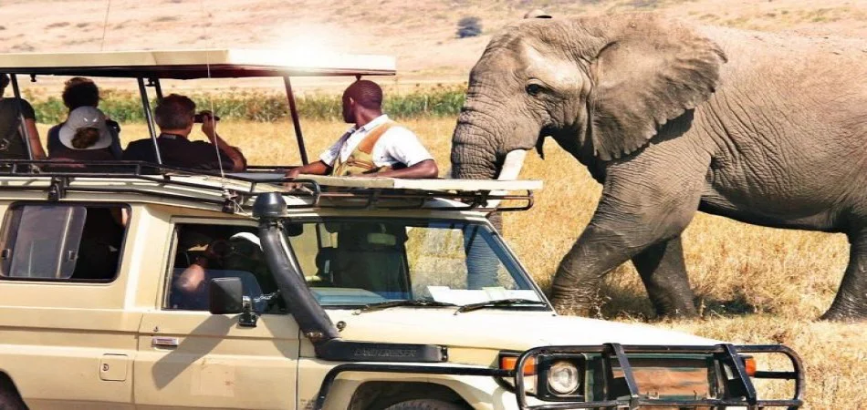 11-Day Tanzania Safari & Zanzibar
